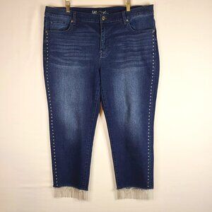 DG2 Diane Gilman Beaded Jean Capri Sz 18PW